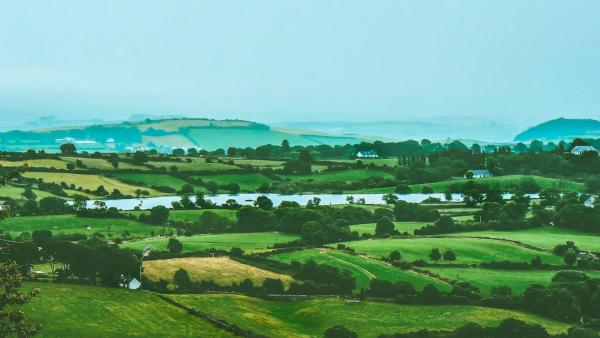 Condado de Laois