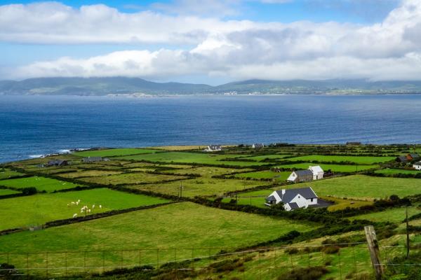 Condado de Offaly