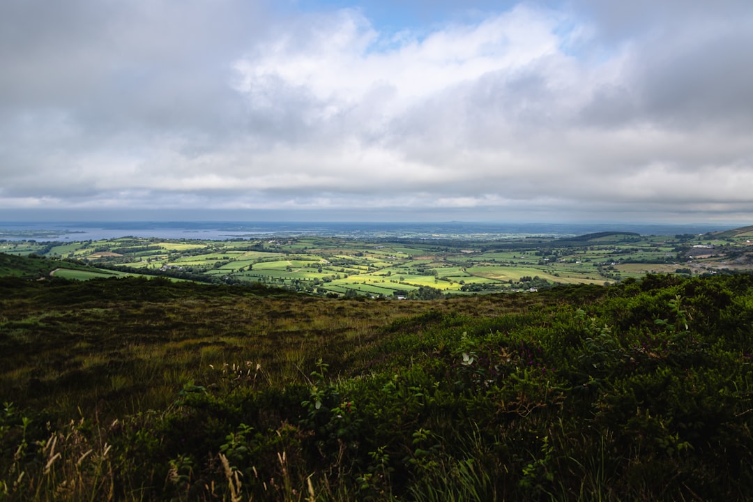 Ballygibbon